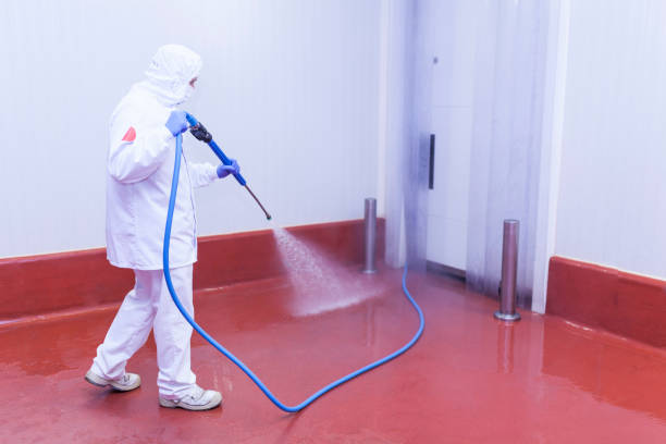 Best Soft Washing  in Troy Hills, NJ